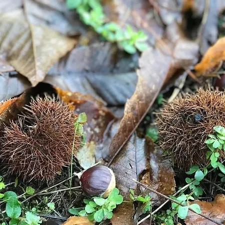 Casa vacanze Casona Rural De Lujo Con Increibles Vistas, La Casa De Rafael, Ahora Con 4